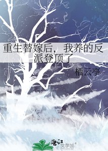 重生替嫁後,我養的反派登頂了