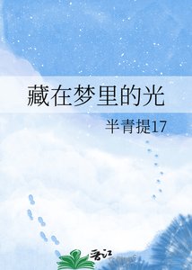 藏在夢裡的光